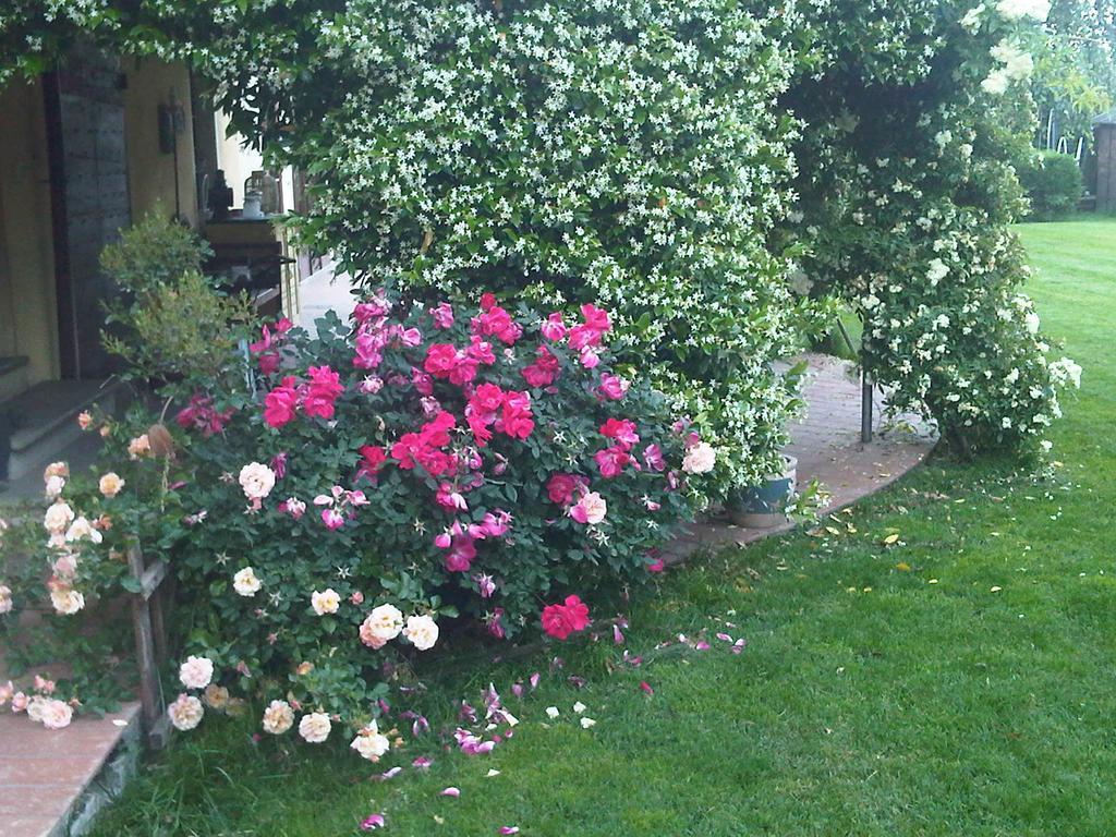 Casa Del Bosco Appartement Busca Buitenkant foto
